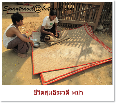 ทัวร์ต่างประเทศ พม่า14-20100525ชีวิตลุ่มอิระวดี